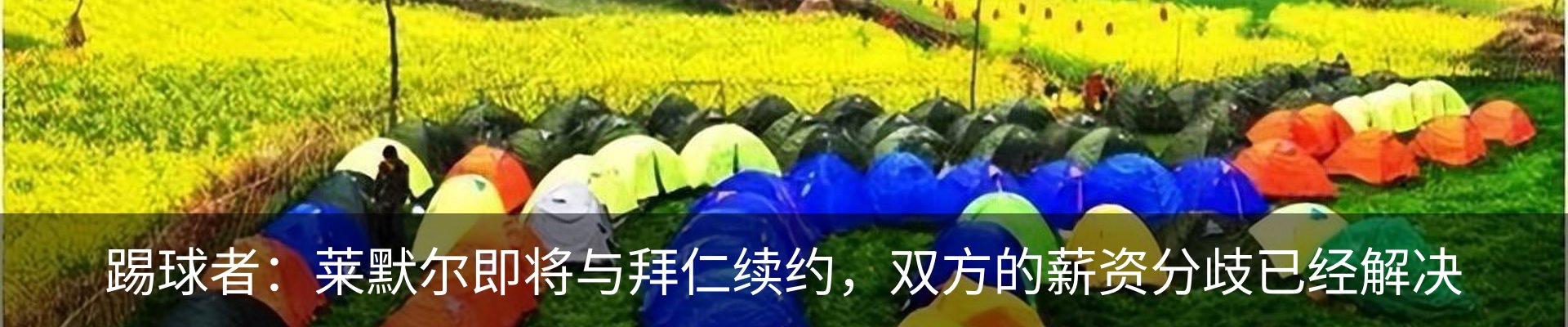 资讯动态